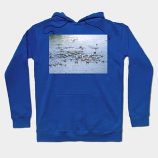 Morning Arrivals Joining the Flock Hoodie